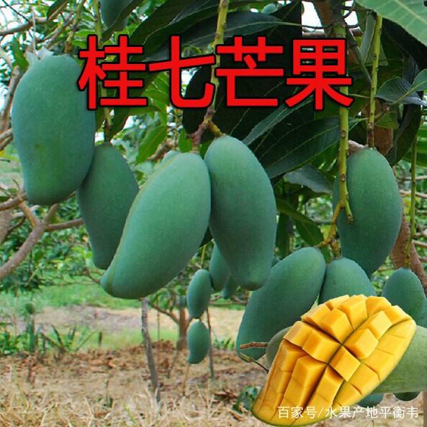 u=497952478,1957556581&fm=173&app=25&f=JPEG.jpg