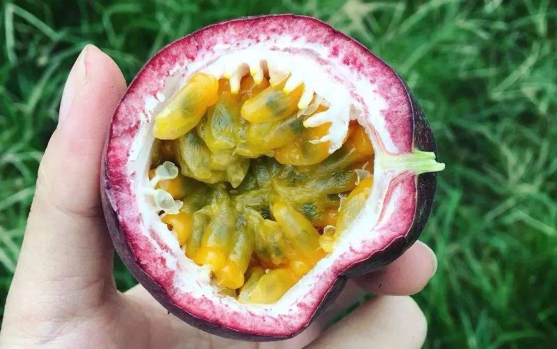百香果 百香果